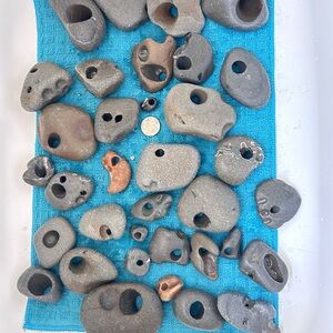 Collection of Natural Hag Stones/ price is for one.